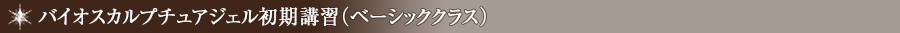 バイオスカルプチュアジェル初期講習