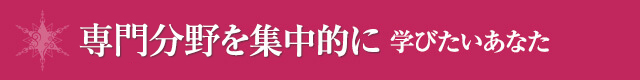 専門分野を集中的に